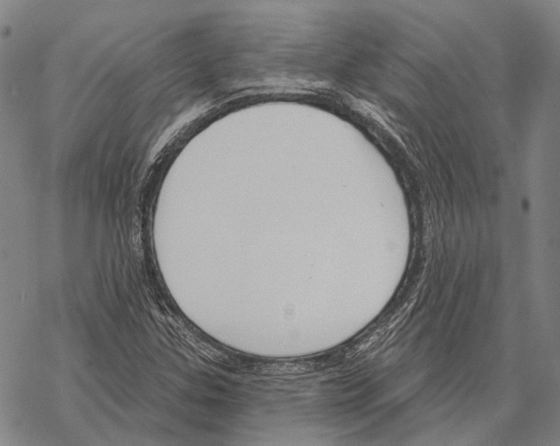 X0000067491307200605051728