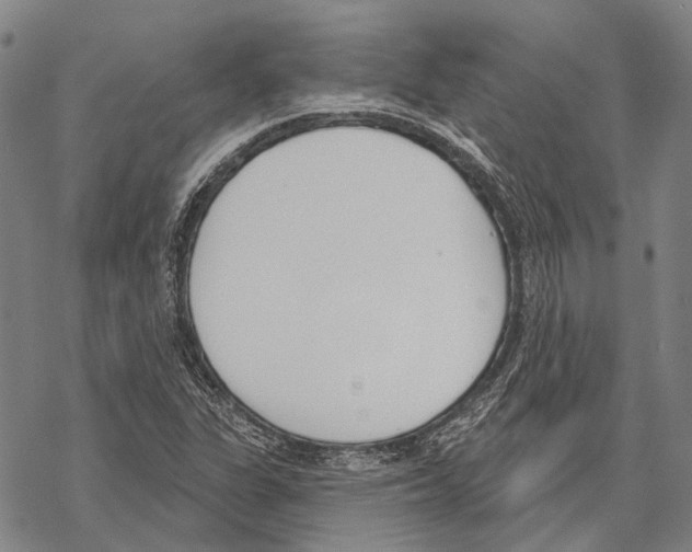 X0000067491311200605051728
