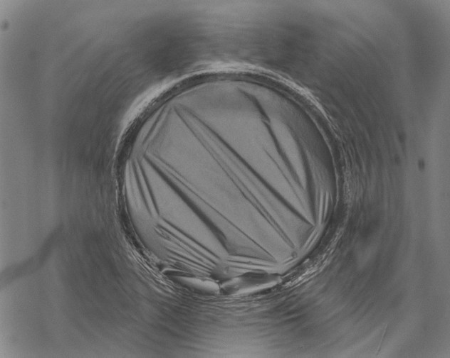 X0000067491319200605051728