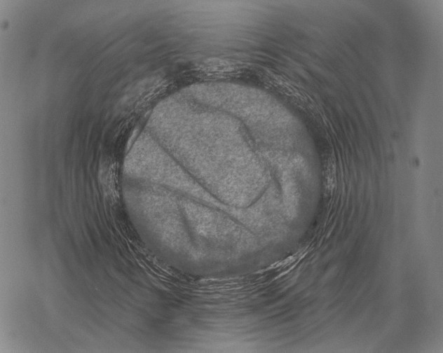 X0000067491346200605051727