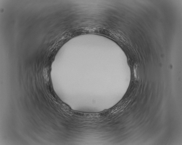X0000067491347200605051727
