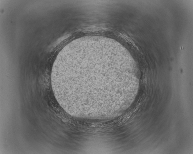 X0000067491350200605051727