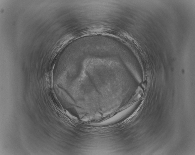 X0000067491353200605051727