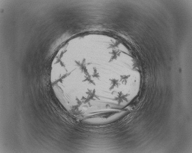X0000067491359200605051727
