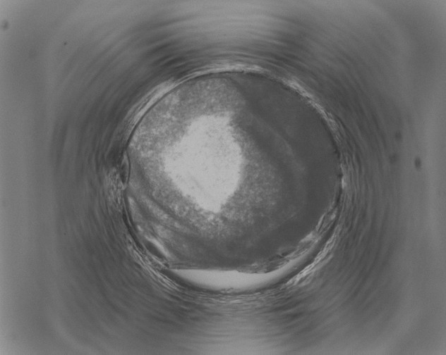 X0000067491369200605051727