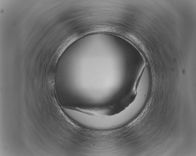 X0000067491377200605051727