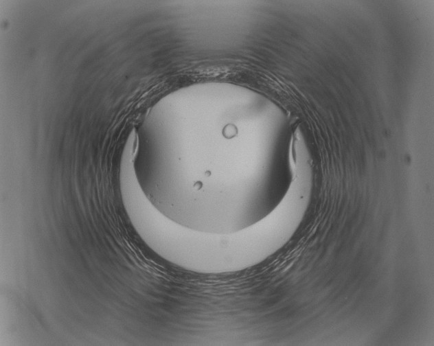 X0000067491394200605051726