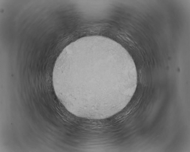 X0000067491395200605051726
