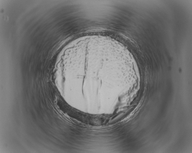 X0000067491401200605051726