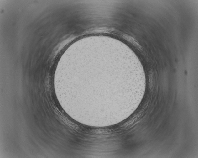 X0000067491404200605051726