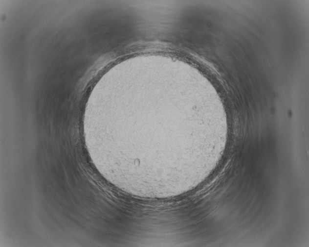 X0000067491407200605051726