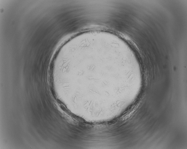 X0000067491421200605051726