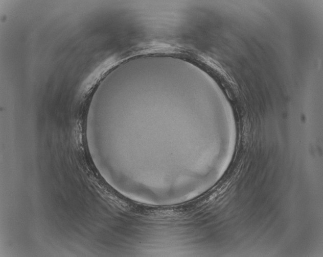 X0000067491455200605051725