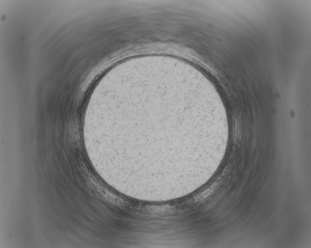 X0000067491498200605051724