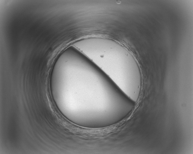 X0000067500001200604071035