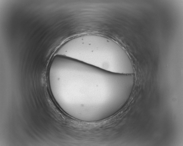 X0000067500002200604071035