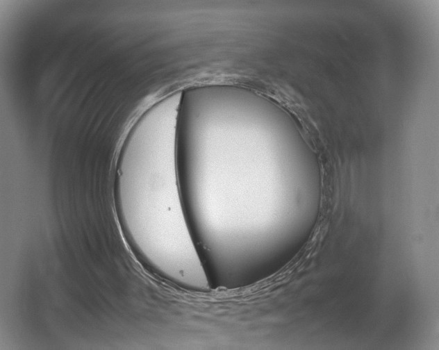 X0000067500003200604071035