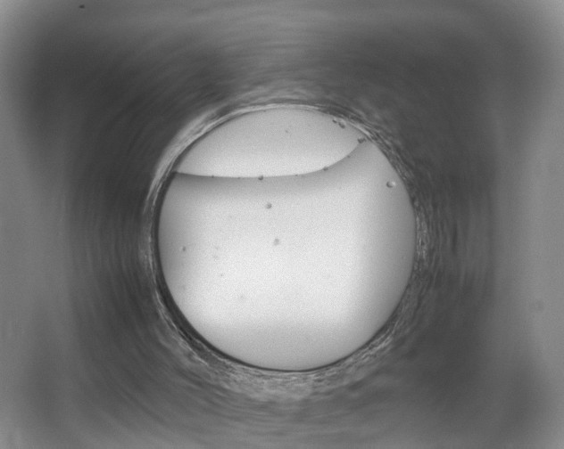 X0000067500004200604071035