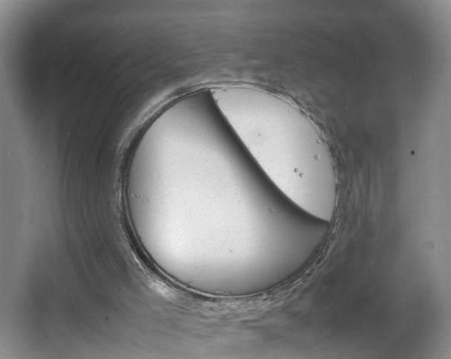 X0000067500005200604071035