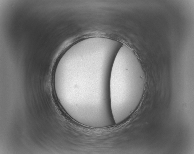 X0000067500006200604071035