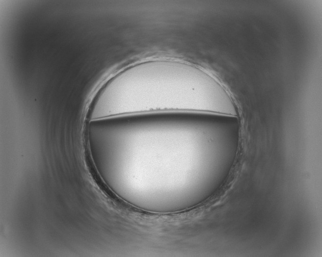 X0000067500007200604071035