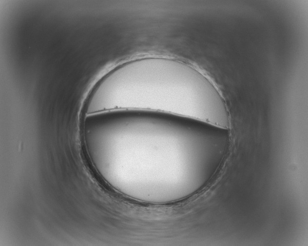 X0000067500008200604071035