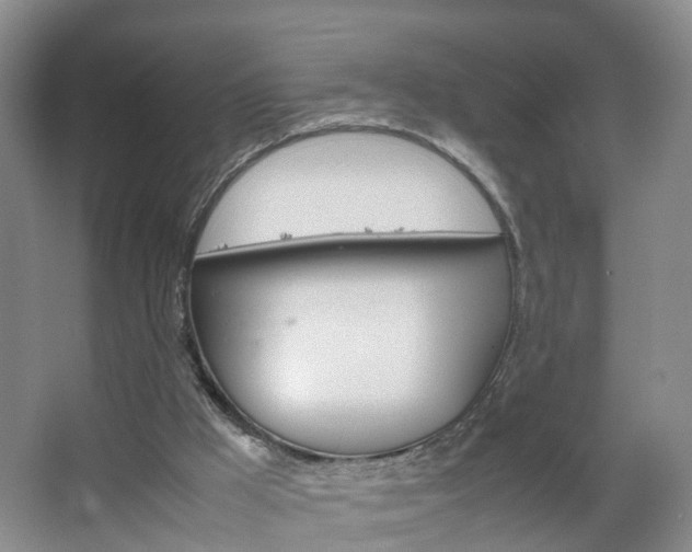 X0000067500009200604071035