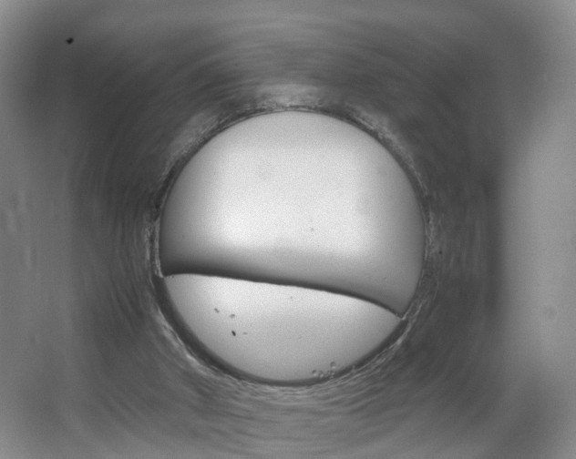 X0000067500010200604071035