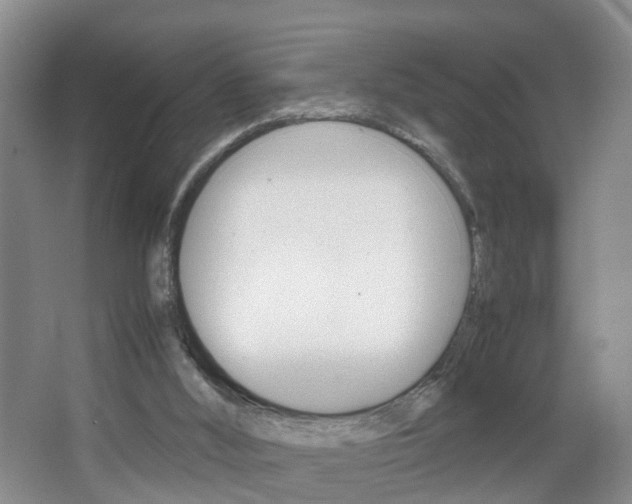 X0000067500012200604071035