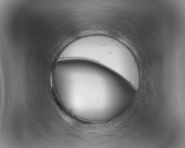 X0000067500013200604071035