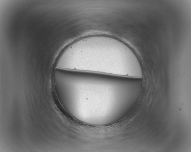 X0000067500015200604071035