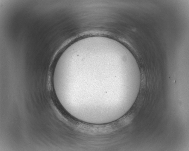 X0000067500016200604071035