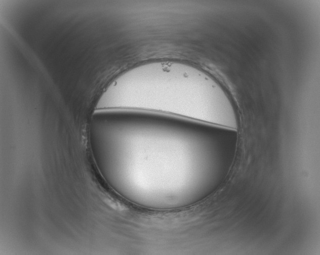 X0000067500017200604071035