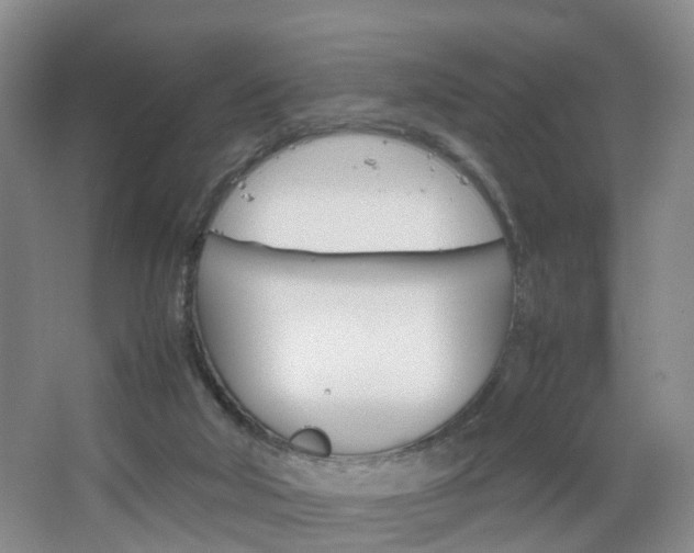 X0000067500018200604071035