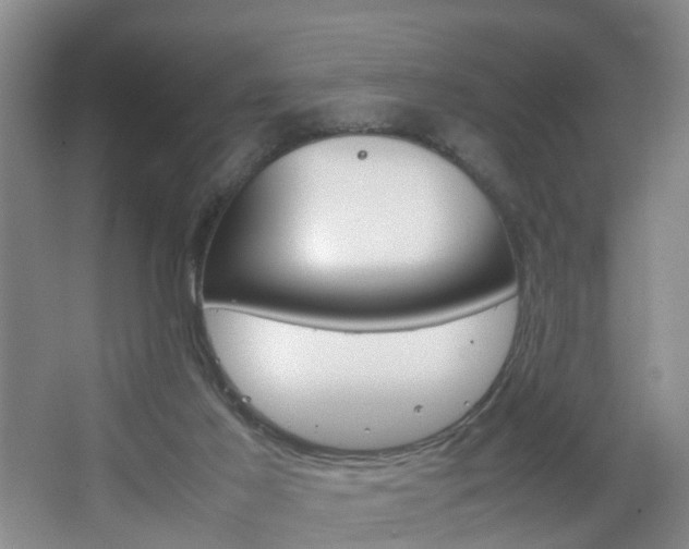 X0000067500021200604071035