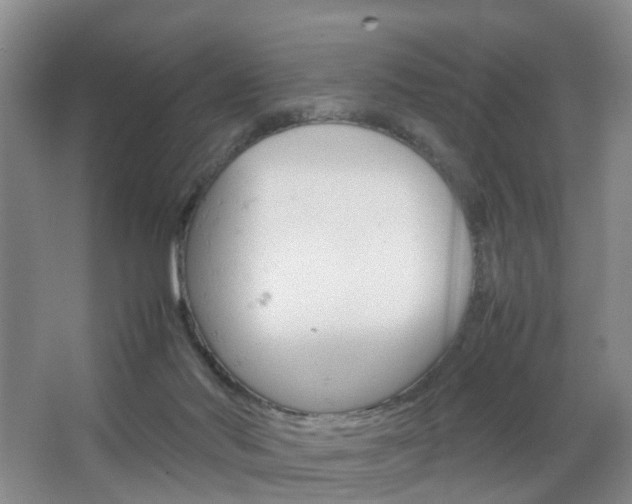 X0000067500022200604071035