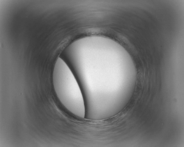 X0000067500024200604071035