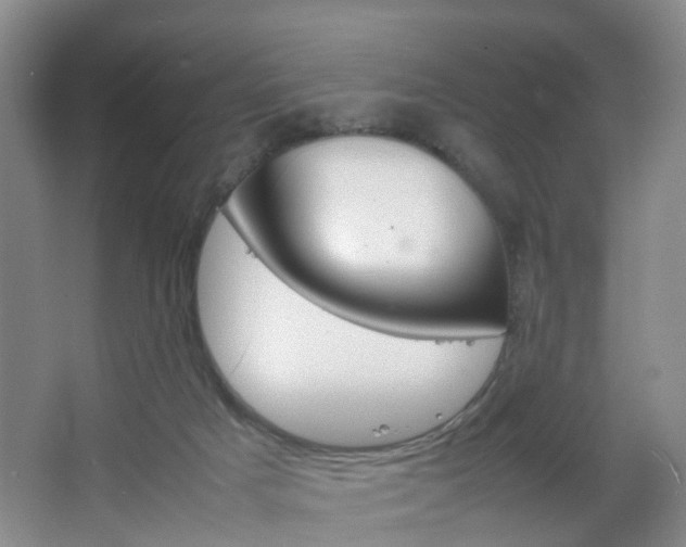 X0000067500025200604071035