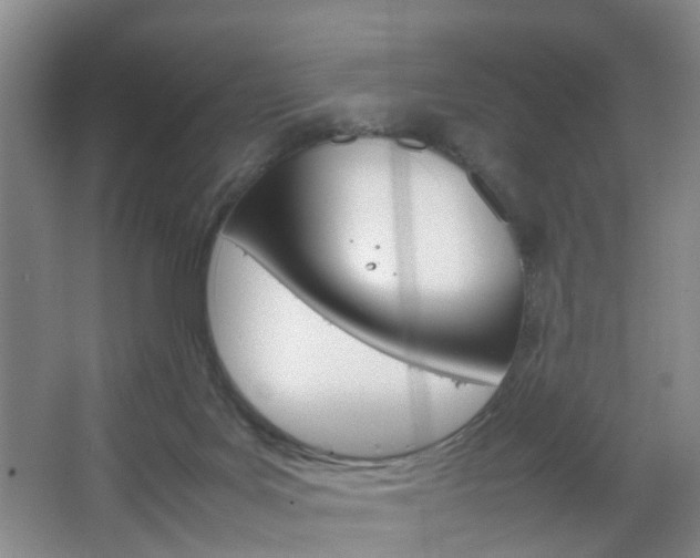 X0000067500027200604071034