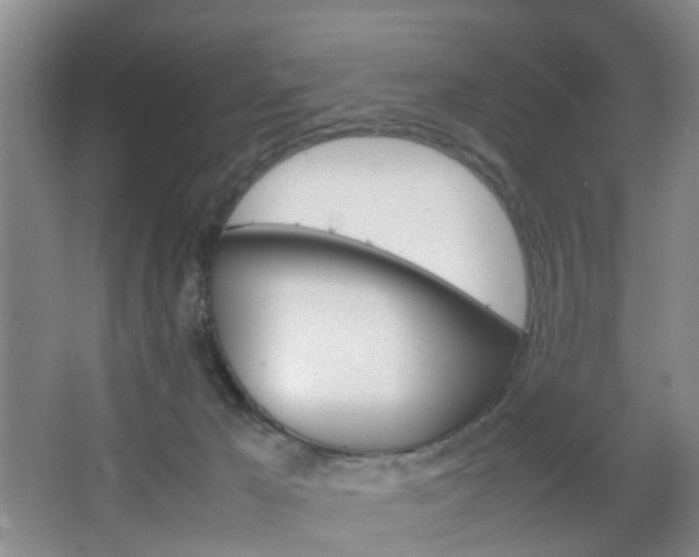 X0000067500029200604071034