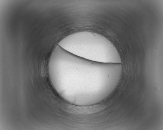 X0000067500030200604071034