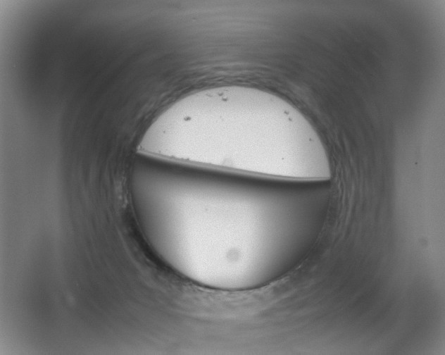 X0000067500031200604071034