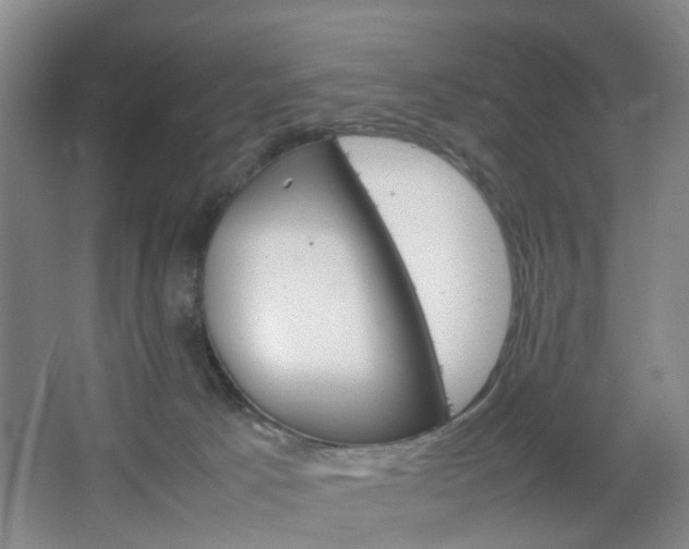 X0000067500033200604071034