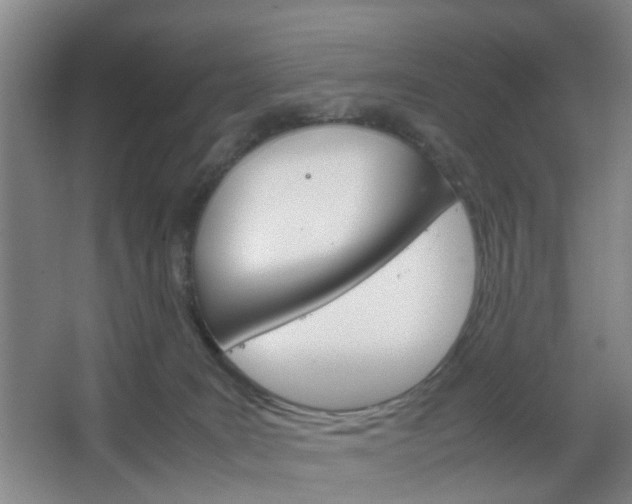 X0000067500035200604071034