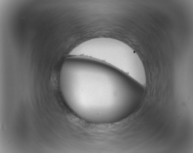 X0000067500037200604071034