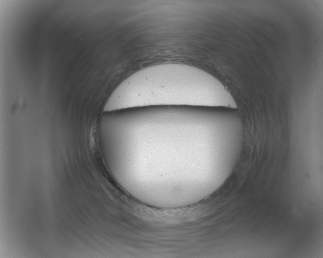 X0000067500038200604071034