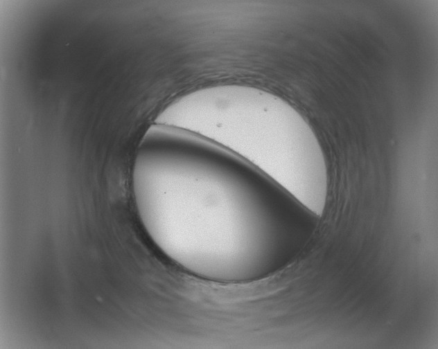 X0000067500039200604071034