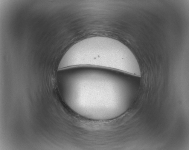 X0000067500040200604071034