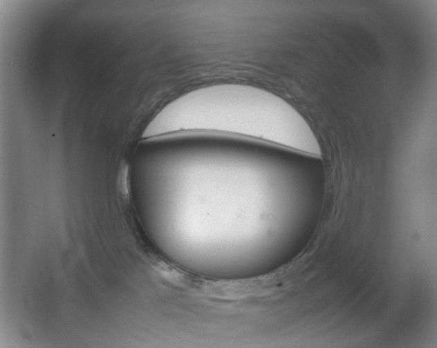 X0000067500041200604071034