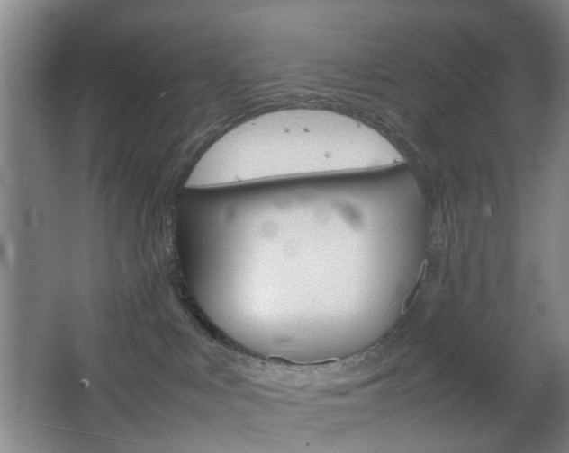 X0000067500043200604071034